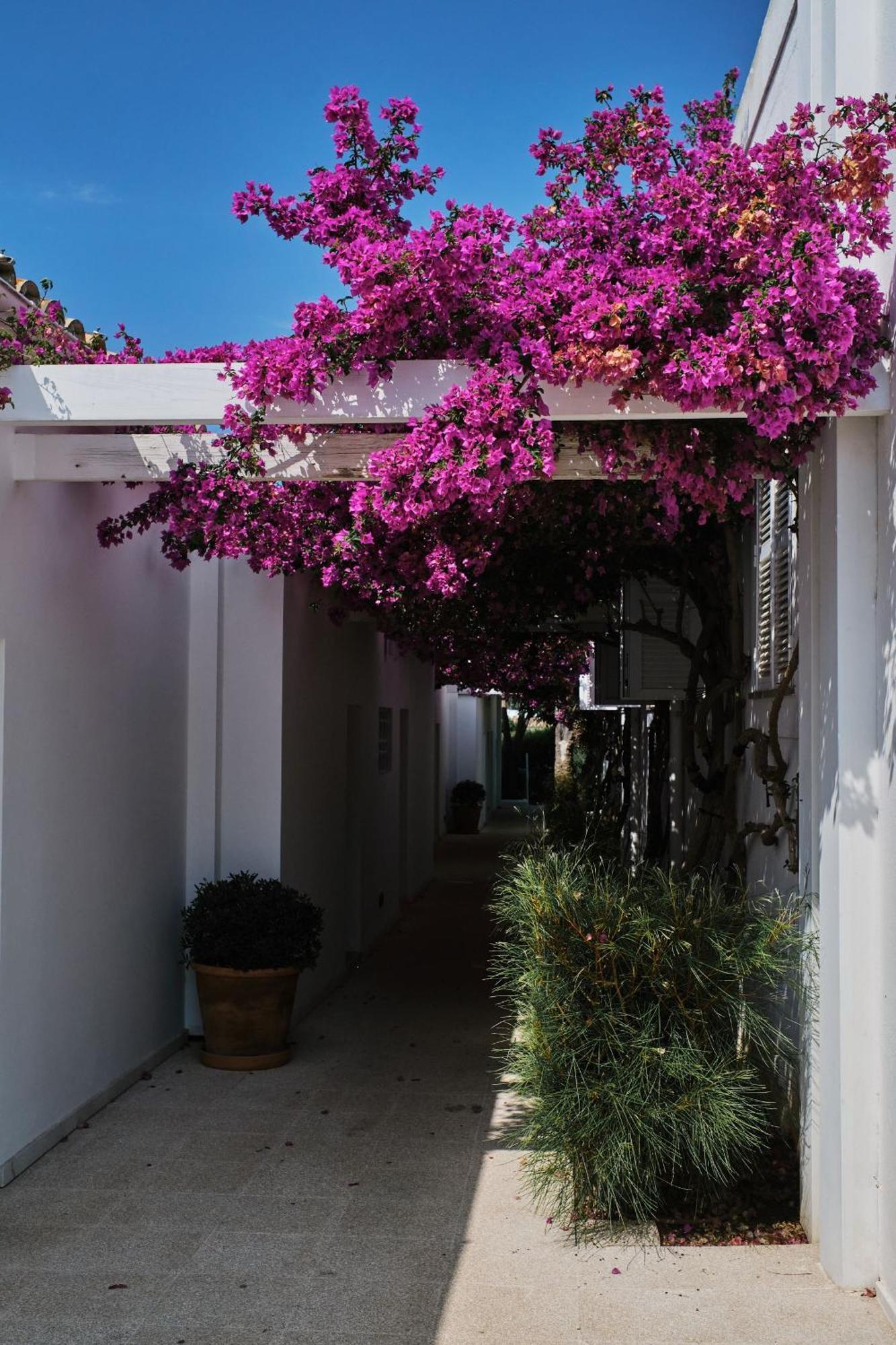 Prinsotel Mal Pas - Adults Only Alcudia  Luaran gambar